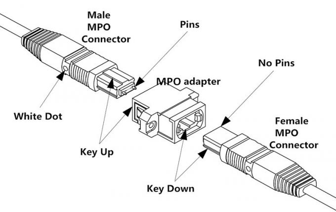 Тип кабеля полярность хобота волокна MPO PVC LSZH 8/12/24 SM MM b 1