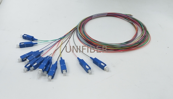 12 Fibers SC UPC fiber pigtail unjacketed color-coded 0.9mm 1m