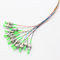 12F Ribbon Fanout Fiber Pigtails 1.5m For Fusion Splicing